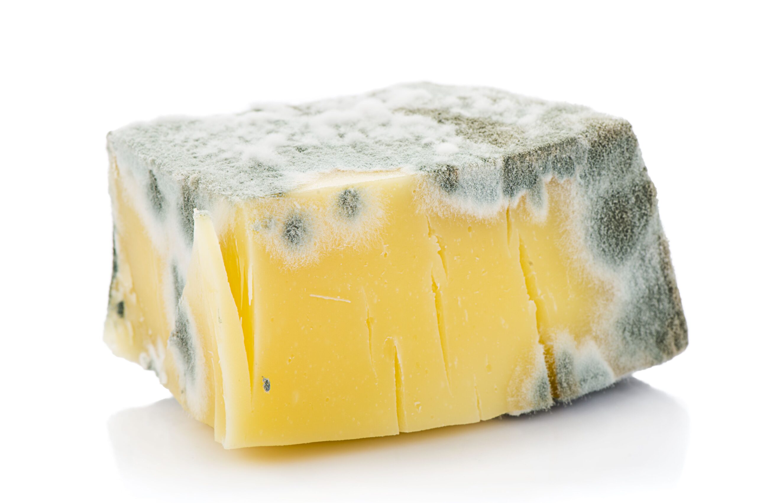 Expired Cheese